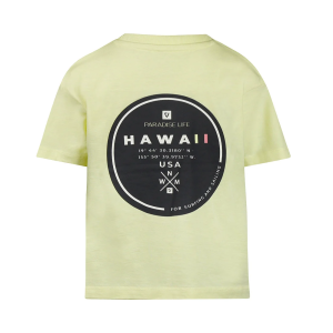 CAMISETA HAWAII
