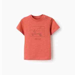 CAMISETA OASIS