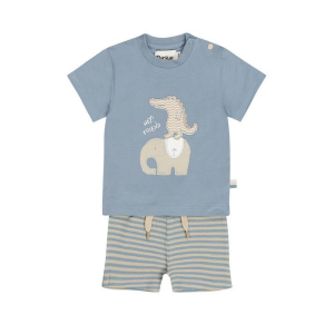 CONJUNTO ELEPHANT